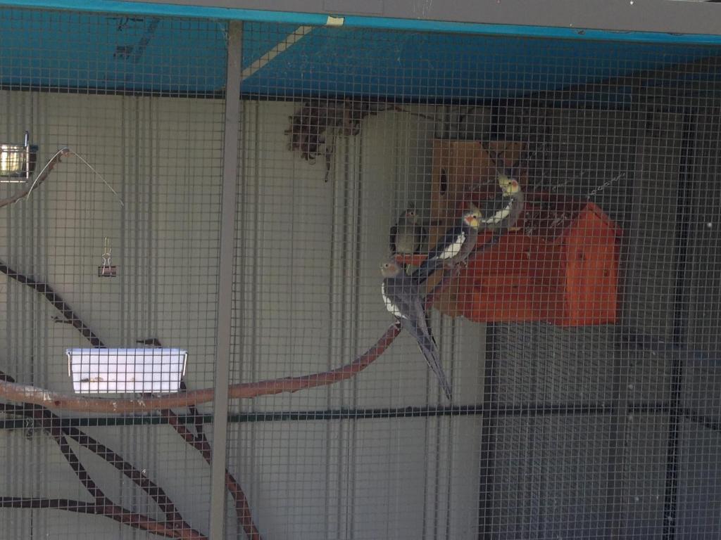 Wangaratta North Family Motel Luaran gambar